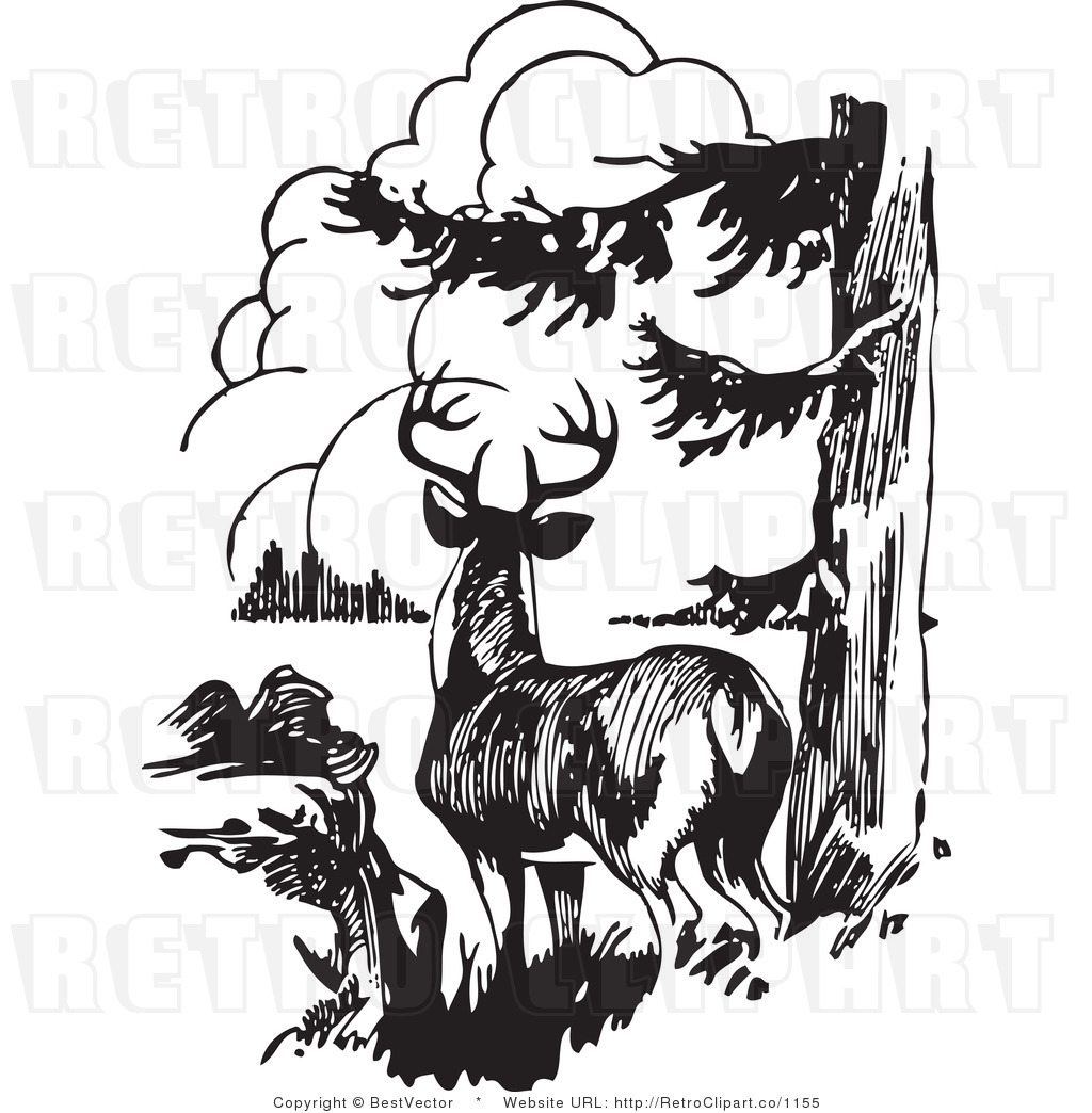 free black and white deer clipart - photo #7